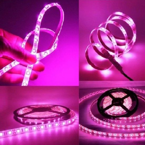 FITA LED ROXO 5 METROS 5050